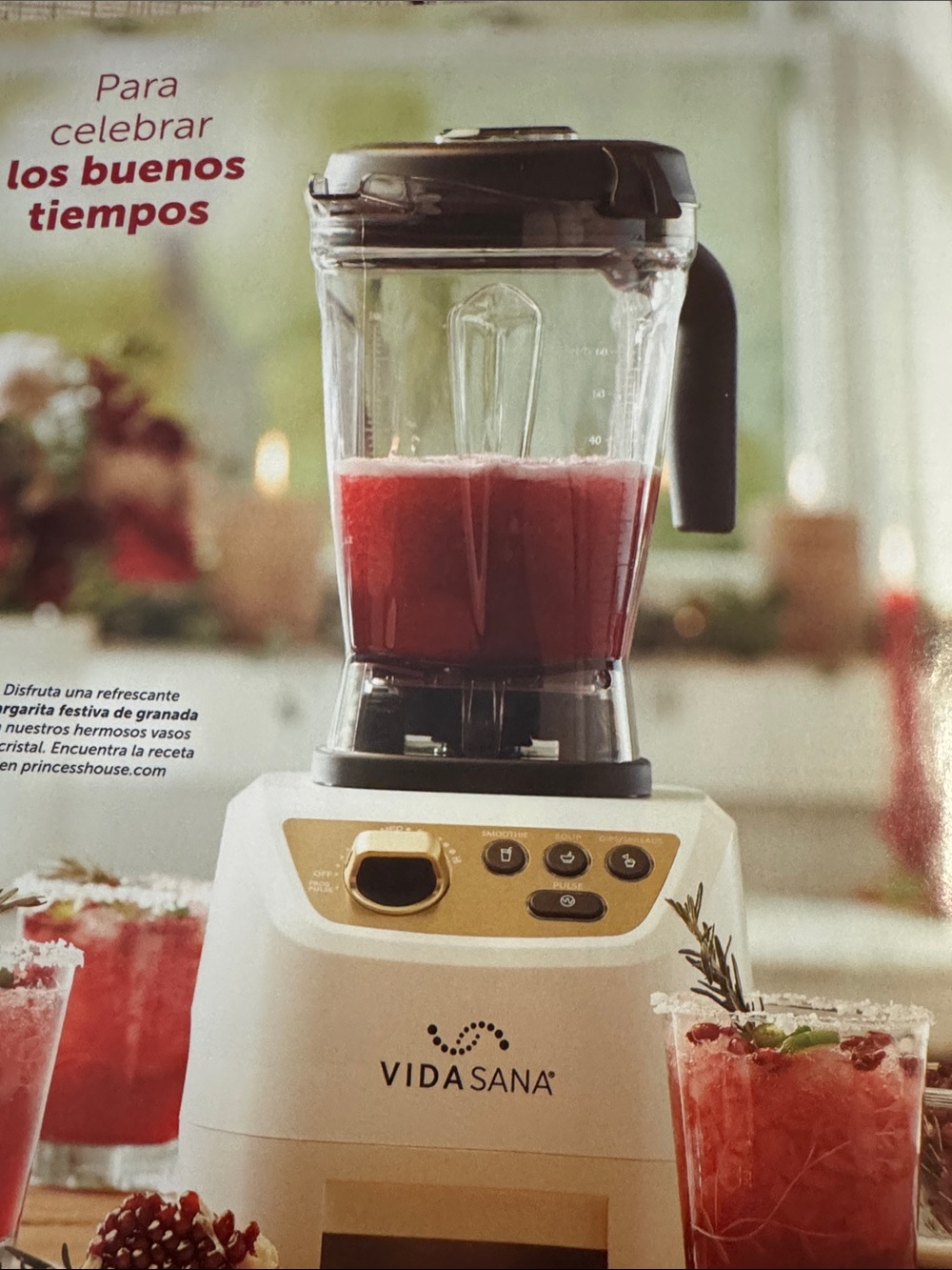 Princess House Vida Sana Countertop Blender in Cream and Black